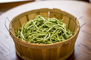 甘鲁微型蔬菜捆扎机品牌，高效便捷，为绿色农业添彩