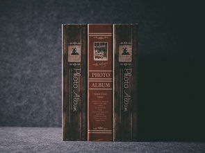 月子卫生纸品牌大解析