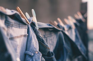 铅笔衣服是品牌吗？深度解析带您了解背后的故事