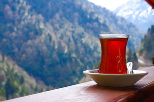 打响黄山茶叶品牌，传承千年茶文化