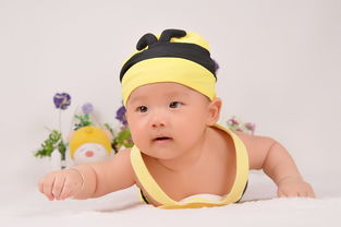 龙尼佳——宝宝成长的贴心守护者