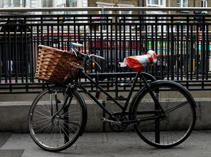 英国童车自行车品牌深度解析，品质与安全的完美结合