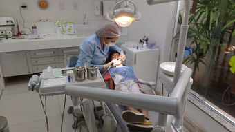 性价比高的幼童牙刷品牌盘点，呵护宝宝口腔健康，从选对牙刷开始！