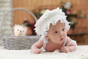 揭秘十大婴幼儿玩具品牌，让宝宝玩得开心学得快乐
