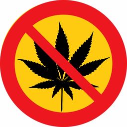 美国被禁的食用油品牌