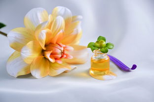 揭秘国内植物洗面奶品牌排行，美丽肌肤从植开始！