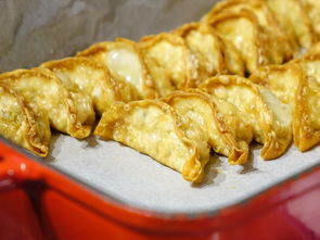 揭秘日本饺子卫生巾品牌，独特设计，贴心呵护