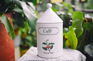 茶啥盐是啥品牌奶茶？一文带你探秘市场热门茶饮品牌
