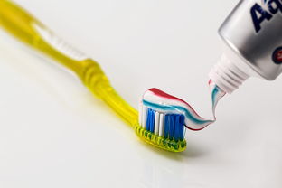 狗狗口腔健康，从一支专用牙刷开始—揭秘狗狗专用牙刷品牌