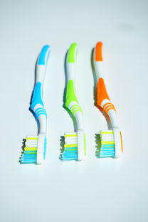 狗狗口腔健康，从一支专用牙刷开始—揭秘狗狗专用牙刷品牌