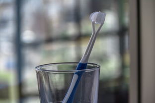 宝宝口腔健康，从儿童品牌自动牙刷开始