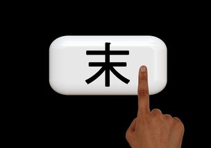 品牌大门锁标志的设计与意义