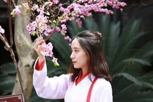 探索中国名贵汉服头饰的世界