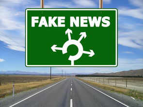 探索瓷砖世界，哪种品牌更胜一筹？
