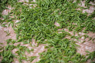 绿茶茶叶品牌大盘点，品质与特色的完美结合
