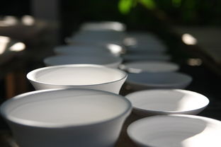 揭秘柳市陶瓷碗品牌，哪里能找到这些精美的瓷器？