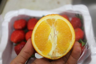 选择健康，选对油—市面上的便宜且安全的食用油品牌大比拼