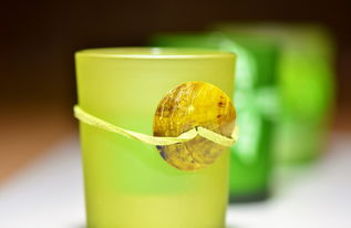 背水杯—从一杯水的坚持到品牌的传奇