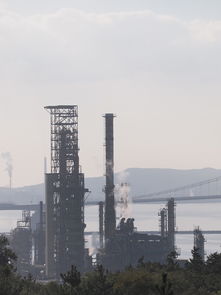 温州地区烟气除尘设备品牌概览