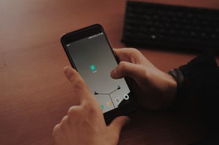 lcd手机哪个品牌好—全面解析与选购指南