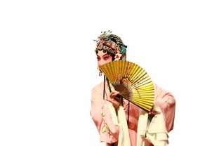 女士品牌旗袍短袖，时尚与传统的完美融合