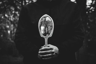 盘点那些让人爱不释手的品牌白色鼠标—你的办公利器！