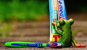 盘点那些深受小孩喜爱的通用牙刷品牌，呵护宝宝口腔健康！