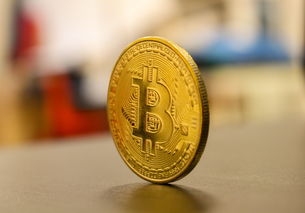 电子密码门锁品牌解析，选购指南与案例分享