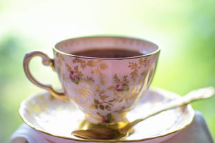 揭秘水杯茶杯品牌，那些你不知道的秘密与选择指南