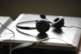 最好耳机品牌全解析，音质、舒适度与口碑的完美结合