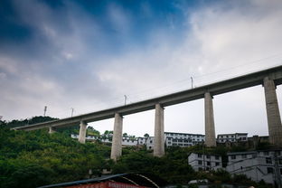 白酒品牌登上高铁，一场文化与速度的融合之旅