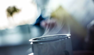 茶叶加盟品牌哪家更安全可靠？全方位解读给你听