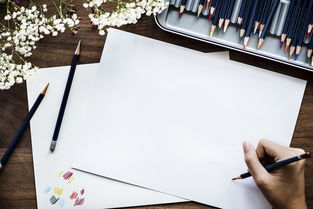 品牌战略规划书法，用艺术之笔描绘品牌未来