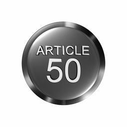 英国猫砂盆铲子品牌大盘点，热门选择及用户反馈