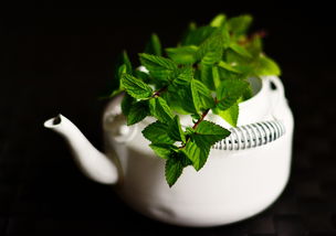 东方美人茶叶推荐品牌，品质之选与品味之享