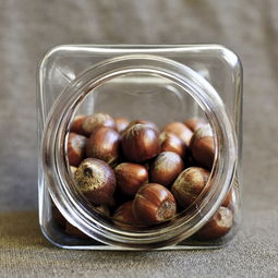岳阳干果零食品牌排行榜