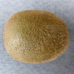尿不湿十大品牌垫子排名