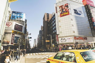 探秘华夏陶瓷城，知名品牌店里的陶瓷艺术之旅