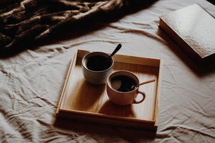 内地澜记奶茶品牌哪个好？热门品牌深度解析