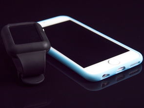 iPhone 6手机壳潮流品牌大揭秘
