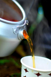 水杯简易品牌，打造个性化生活，从一杯水开始