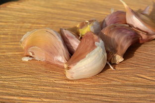 西餐预制菜品牌大盘点