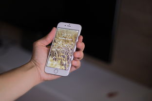 手机512哪个品牌好全面对比与选购指南