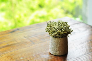 植物中药面膜护肤品牌，传承美丽，绽放自然光彩