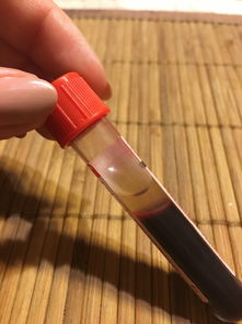 浮漂油漆最好品牌大解析