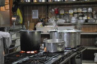 探索厨房新境界，精选厨具品牌产品
