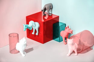 住友品牌玩具，品质、创意与乐趣的完美结合