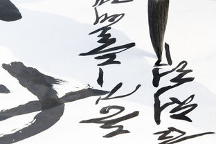 开启书法艺术之旅—无锡书法班培训品牌加盟指南