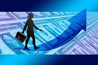 掌握白条取现技巧，轻松解决资金周转难题