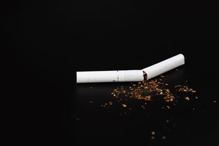 全网超大的铅笔品牌大解析